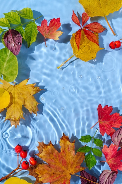 Ondulation de l'eau avec des feuilles d'automne. Arrière-plan tendance avec espace de copie.