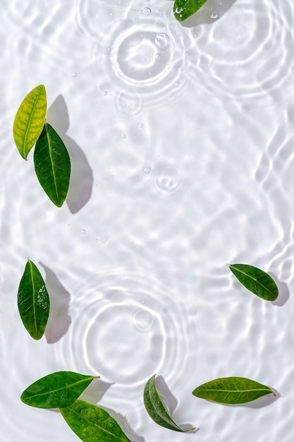 Ondulation de l'eau avec des feuilles vertes. Fond blanc tendance pour la présentation de produits cosmétiques. Concept artistique. Espace de copie