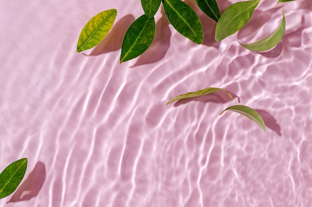Ondulation de l'eau avec des feuilles vertes. Fond rose tendance pour la présentation de produits cosmétiques. Concept artistique. Espace de copie