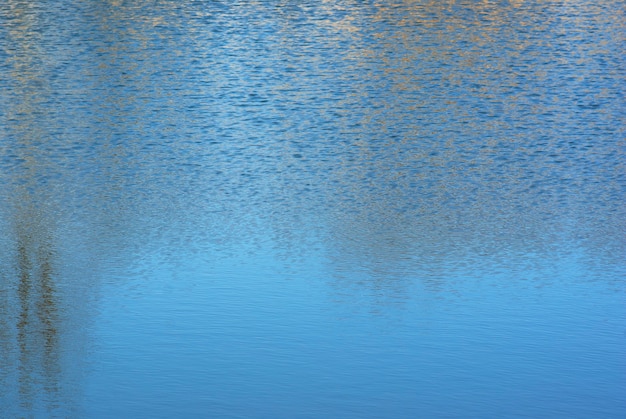 Ondulations dans l'eau. Texture pour les arrière-plans.