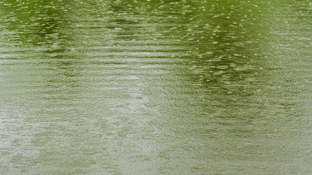 Ondulations de l'eau sur la surface d'un étang lors de fortes pluies