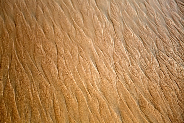 Ondulations de sable
