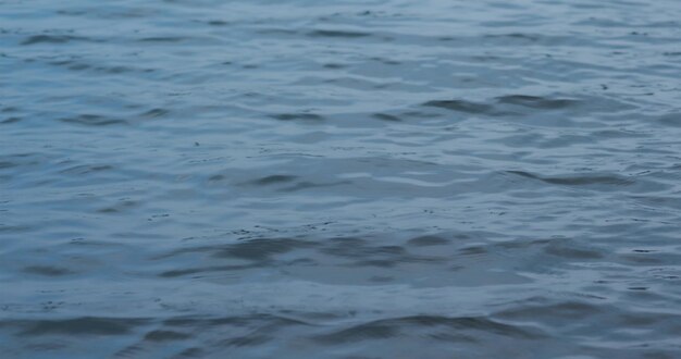 Ondulations sur la surface bleue de la mer