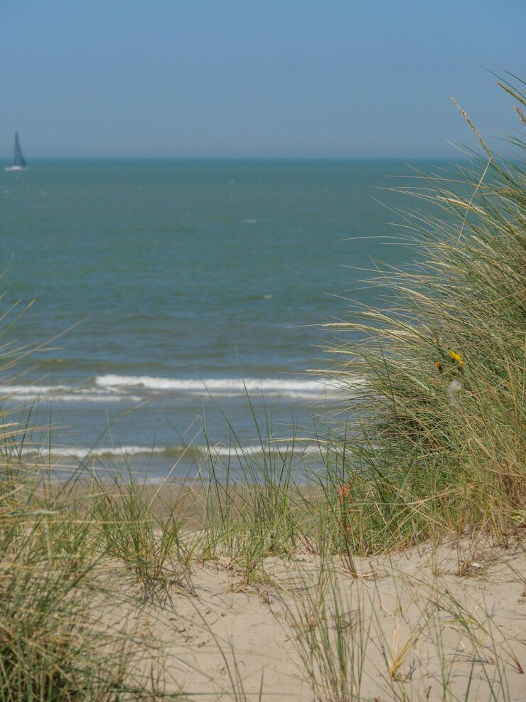 Photo oostende en belgique
