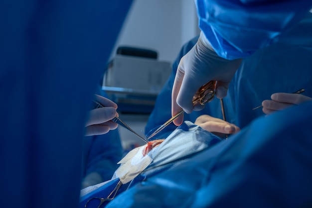 Opération de chirurgie plastique de blépharoplastie pour corriger les défauts, les déformations et les défigurations des paupières et pour modifier esthétiquement la région oculaire du visage en clinique médicale