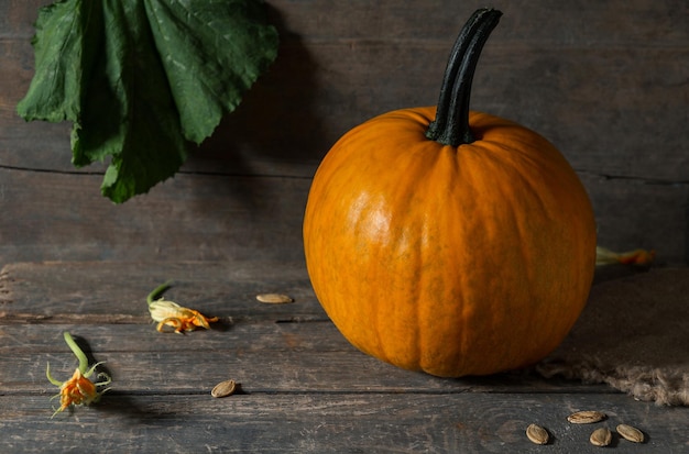 Orange citrouille sur des planches en bois pour les vacances d'halloween