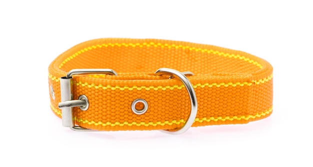 Photo orange de collier de chien isolé sur fond blanc