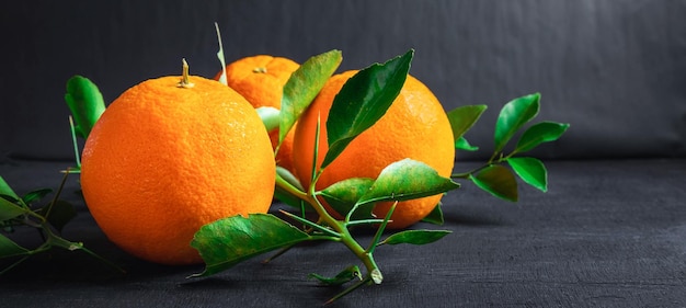 Orange douce et feuille sur fond noir