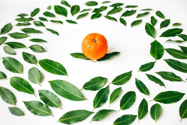 Orange avec des feuilles vertes sur fond blanc Photo de mode de vie sain Beau fond d'écran Concept végétarien et végétalien Vitamines de la nature