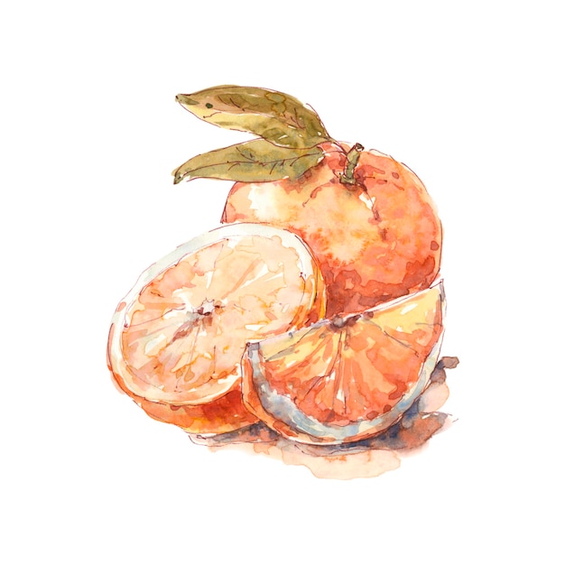 Orange orange entière avec une moitié et une tranche juteuse aquarelle