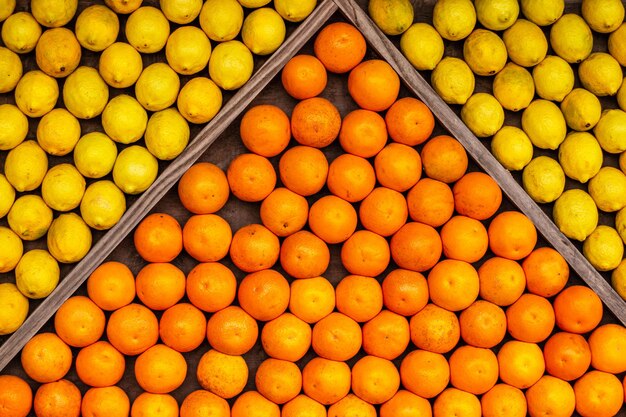 Oranges et citrons dans une épicerie.