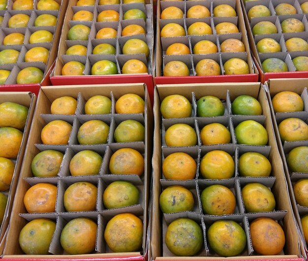 Oranges dans une boîte en papier