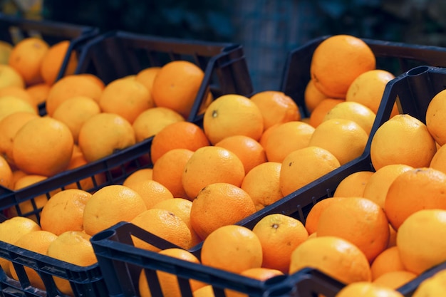 Oranges dans les boîtes à vendre