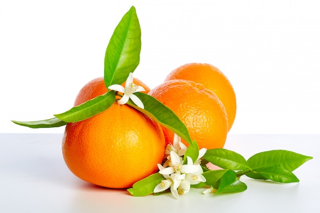 Photo oranges avec des fleurs d'oranger sur blanc