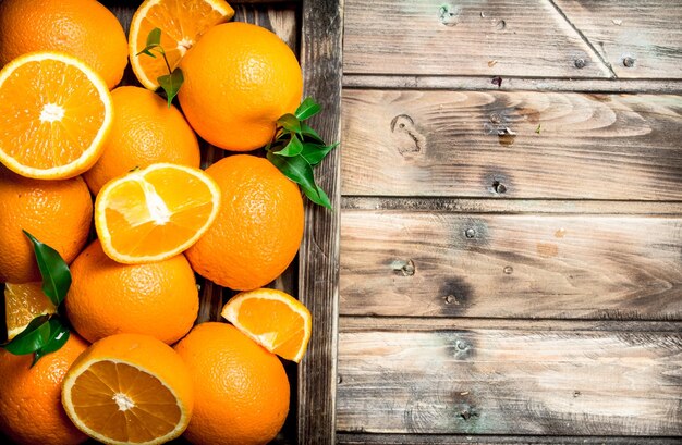 Photo oranges juteuses dans le bac