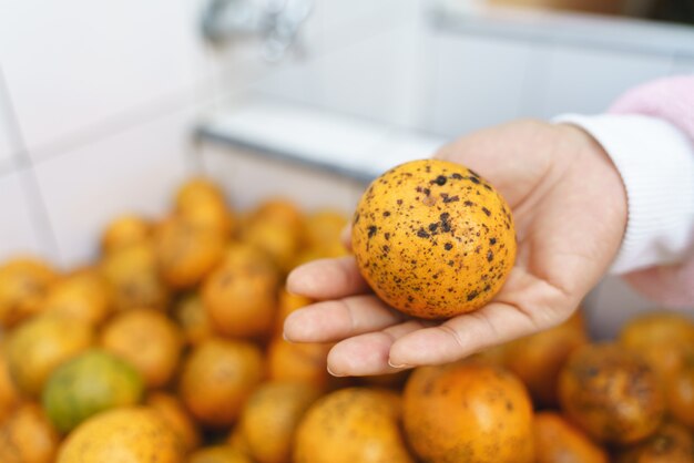 Oranges Sales Avec Des Taches