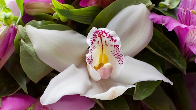 orchidée blanche dans une fleur gros plan bouquet