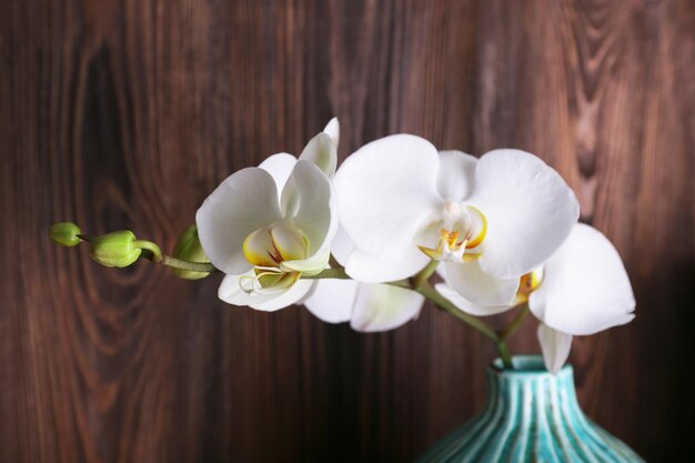 Orchidée blanche sur fond de bois