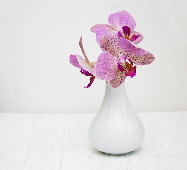 Orchidées roses dans un vase