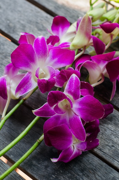 Orchidées roses sur table en bois