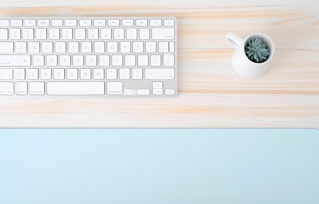 ordinateur clavier et souris avec pad et plante dans le pot sur w blanc