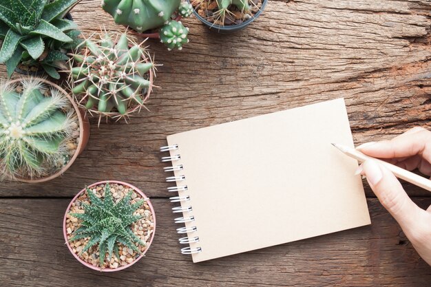 ordinateur portable sur le bureau de jardinage avec des plantes de cactus