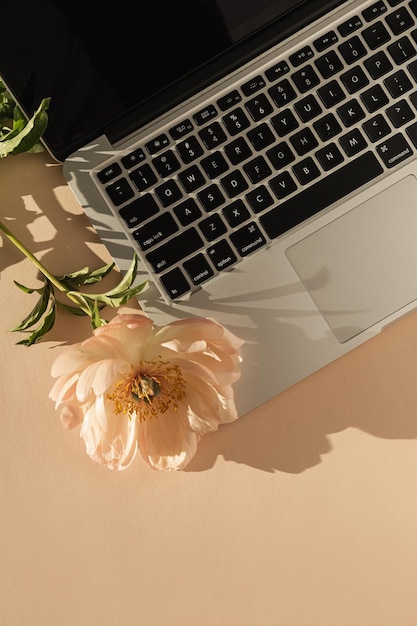 Ordinateur portable plat et fleur de pivoine douce coulant l'ombre du soleil sur fond de pêche Vue de dessus concept d'entreprise de travail esthétique minimaliste