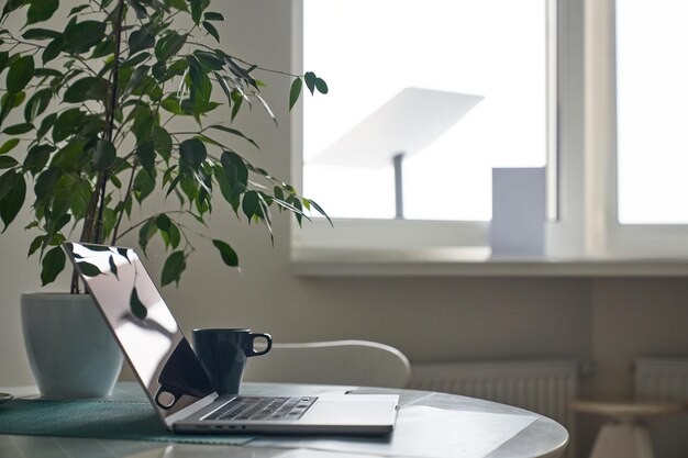 Photo ordinateur portable sur table avec plante d'intérieur en pot et tasse de thé dans un intérieur confortable concept de travail à domicile