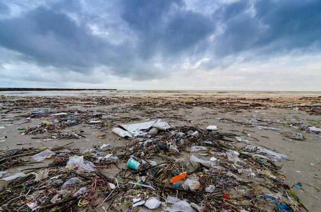 ordures la bouteille en plastique de la mer de la plage se trouve sur la plage et pollue la mer