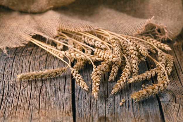 Oreilles de seigle sur table en bois rustique