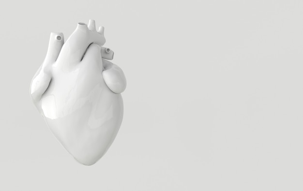 Organe cardiaque humain réaliste avec artères et rendu 3d de l'aorte