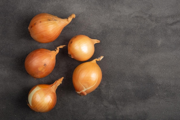 Organisme frais oignons sur fond de béton gris Concept d'aliments sains Légumes