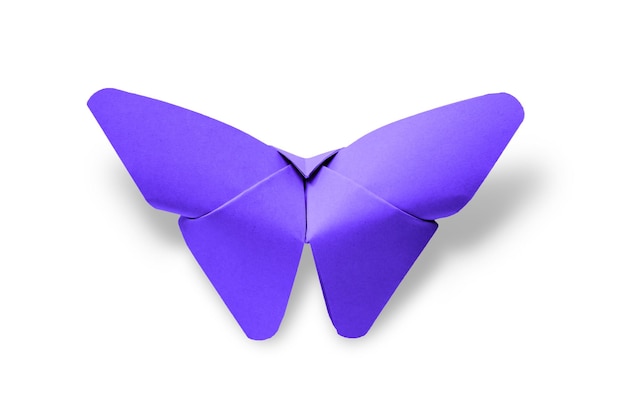 Origami papillon papier violet isolé sur fond blanc