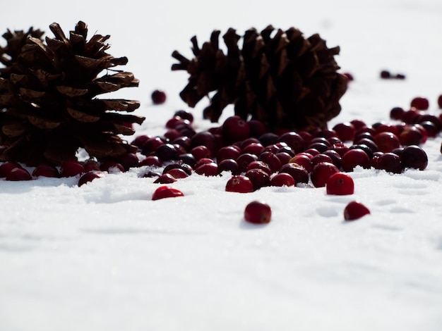 Ornement de Noël dans la neige avec des canneberges.