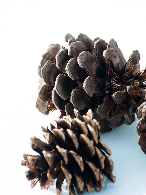 Ornement de Noël dans la neige avec des canneberges.