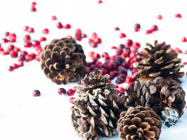 Photo ornement de noël dans la neige avec des canneberges.