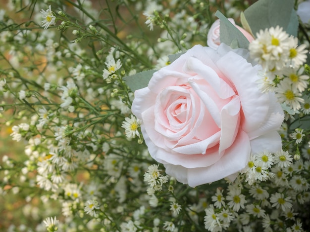 Ornement rose rose beauté avec petites fleurs blanches sur feuilles vertes.