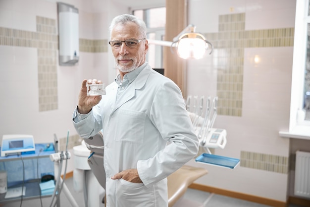 Orthodontiste professionnel âgé souriant et tenant une réplique en plâtre de dents humaines debout dans sa clinique