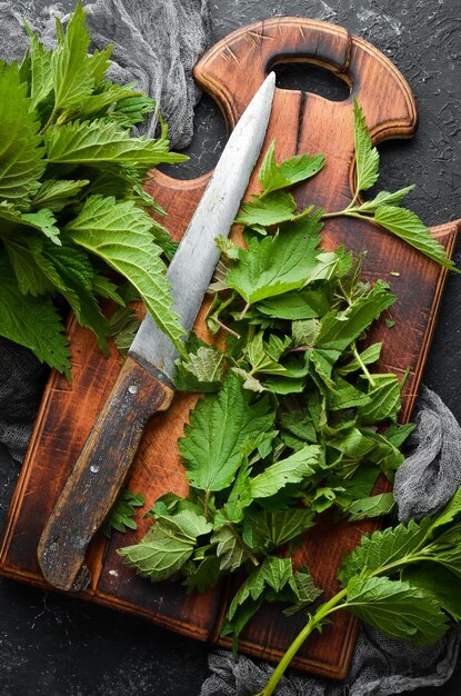 Ortie verte tranchée sur fond noir Herbes saines Vue de dessus