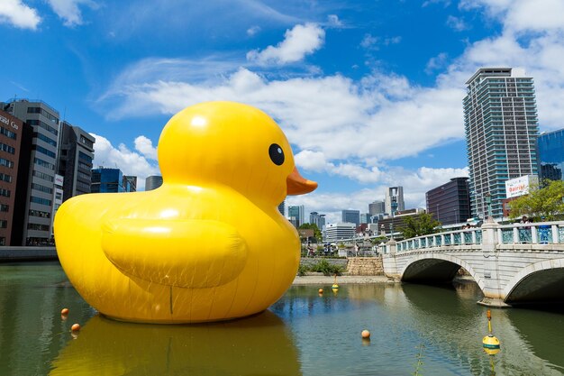 Osaka Japon - 19 septembre : la sculpture géante « Rubber Duck » de l'artiste Florentijn Hofman nage dans le parc du port de Nakanoshima le 19 septembre 2015. Les résidents locaux et les touristes sont attirés par l'attraction.