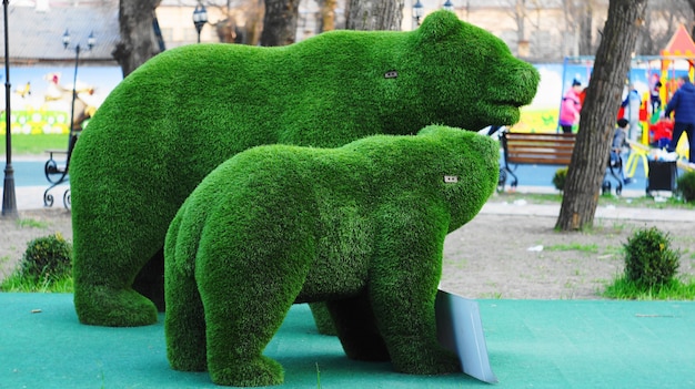 Les ours. Gazon artificiel.