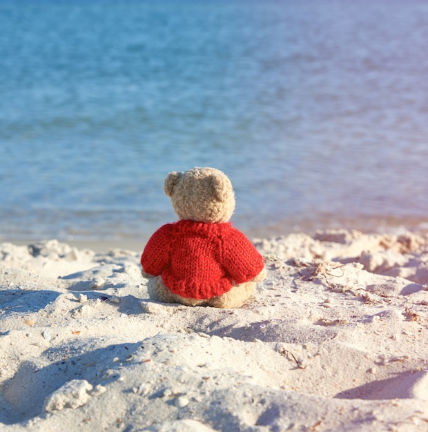 Ours en peluche brun dans un pull rouge assis sur le bord de mer sablonneux et regarde au loin