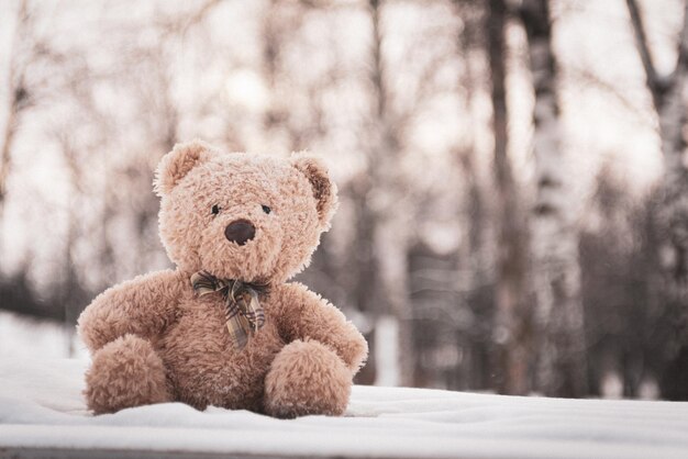 L'ours en peluche a été laissé en hiver à l'aire de jeux pour enfants