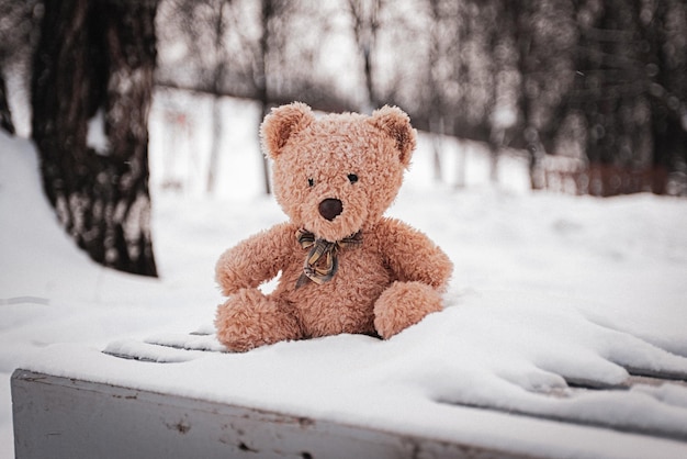 L'ours en peluche a été laissé en hiver à l'aire de jeux pour enfants