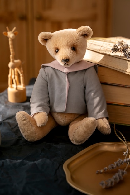 L'ours en peluche à l'intérieur est une nature morte.