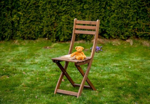 Ours en peluche et livre sur une chaise en bois sur l'herbe verte