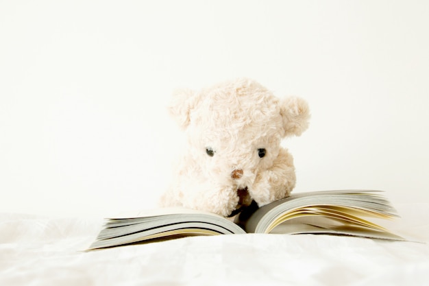 Ours en peluche mignon avec un livre qu&#39;il est à lire pour l&#39;examen