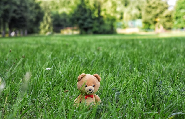 Ours en peluche Ours en peluche se promène dans l'herbe dans le parc photo mignonne drôle avec un jouet jour d'été Enfance