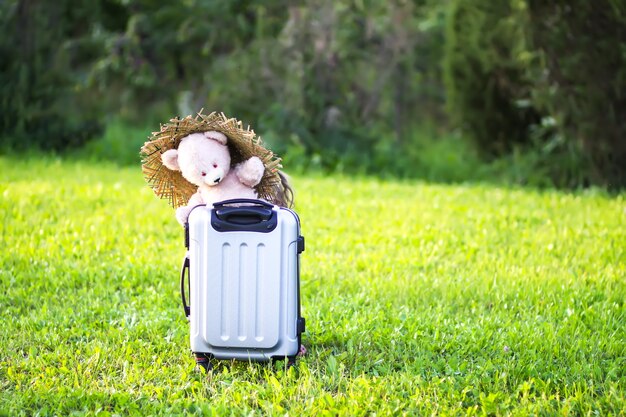 Ours en peluche pour enfants sur un sac de voyage sur une prairie d'été verte