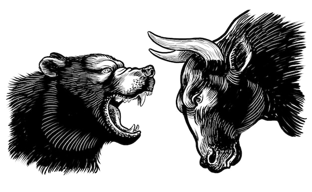 L'ours et le taureau se battent Illustration en noir et blanc dessinée à la main